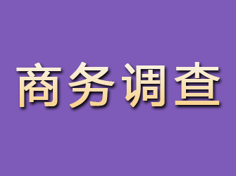 任城商务调查