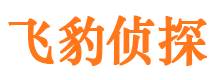 任城市私人调查